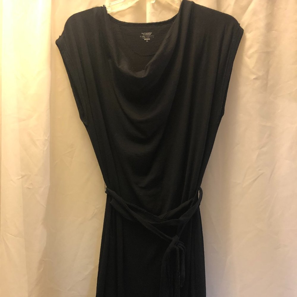 Icebreaker merino wool dress